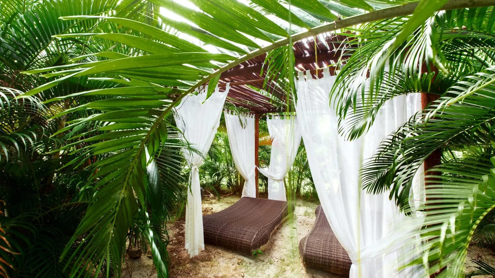***** Hotel Ducassi Suites Rooftop Pool - Beach Club And Spa Punta Cana Repubblica Dominicana